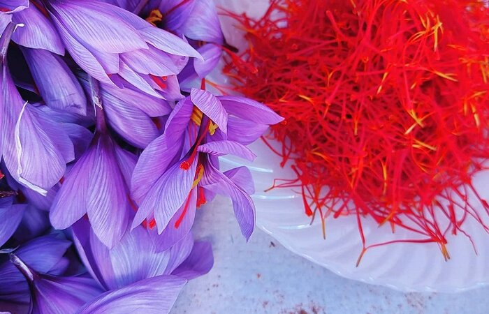 Consuegra and saffron