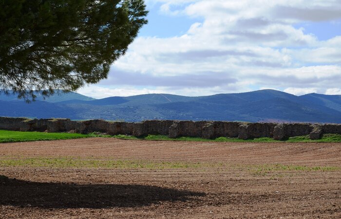 Roman Dam Consuegra