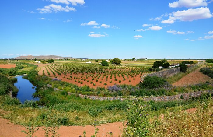 Roman Dam Consuegra