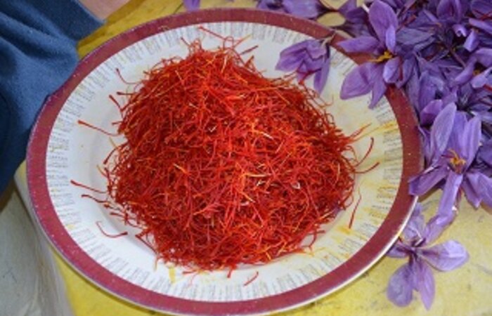 ROSA DEL AZAFRAN CONSUEGRA